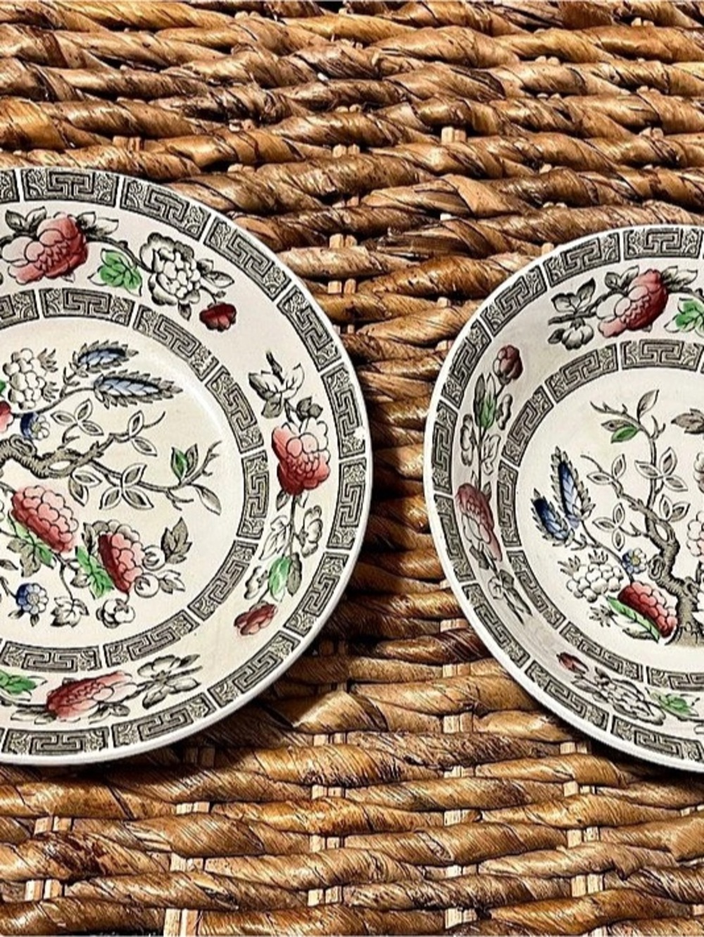 Ridgway Indian Tree Floral Dinnerware Set of 2